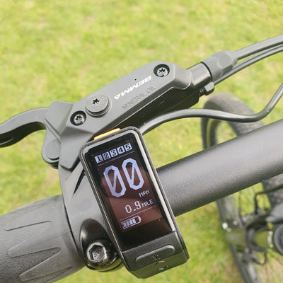 Display Settings on ERSIN Bikes