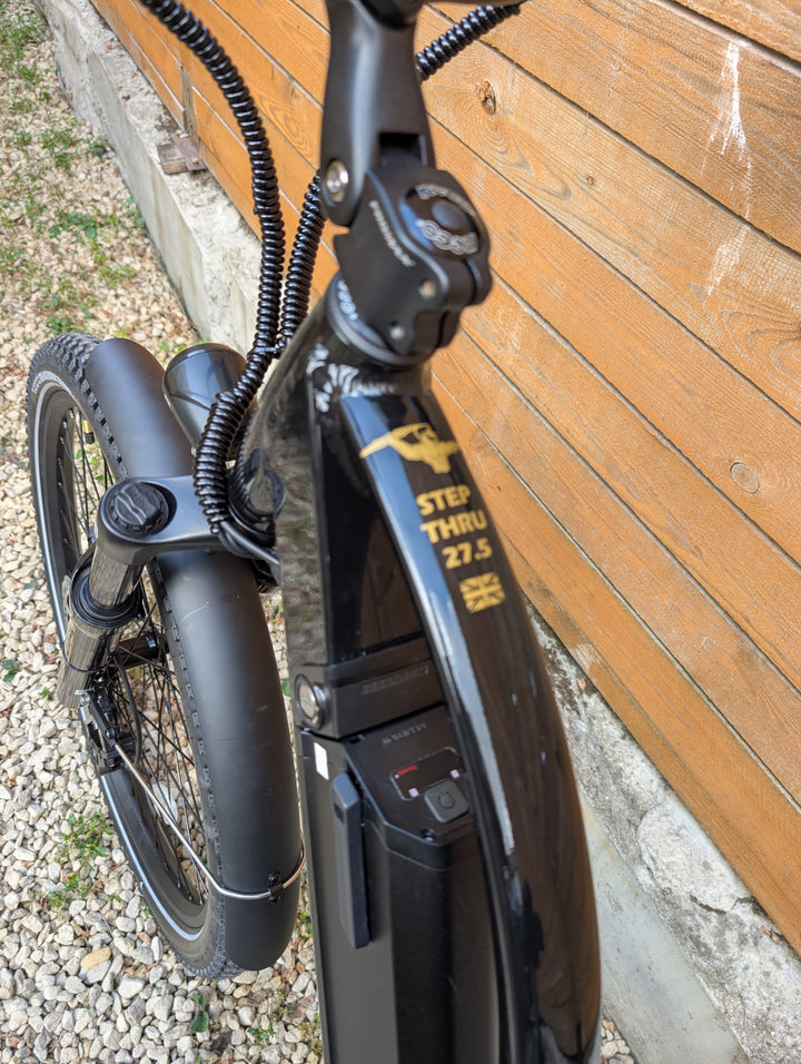 ERSIN STEP THRU